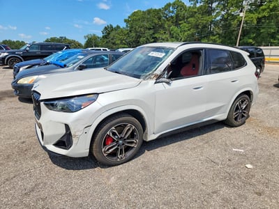 WBX13EF09R5****** 2024 BMW X1