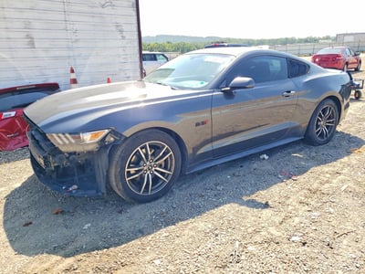 1FA6P8TH8H5****** 2017 Ford Mustang