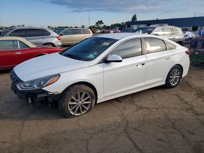 5NPE24AF8KH****** 2019 Hyundai Sonata