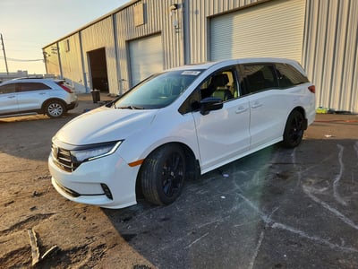 5FNRL6H7XRB****** 2024 Honda Odyssey