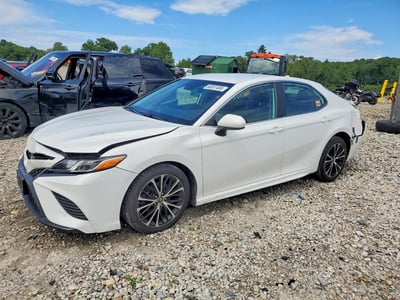 4T1B11HK1KU****** 2019 Toyota Camry