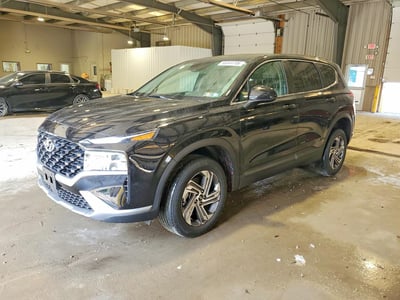 5NMS1DAJ1PH****** 2023 Hyundai Santa Fe