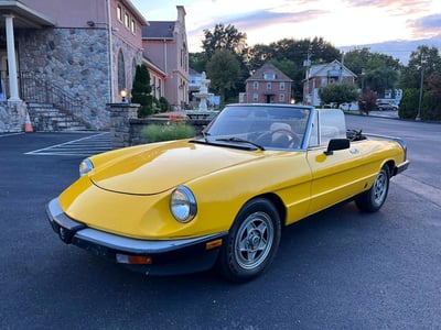 ZARBA5419D1****** 1983 Alfa Romeo Spider