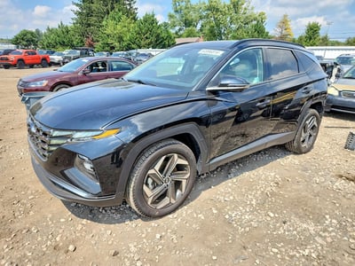 5NMJECDE2RH****** 2024 Hyundai Tucson