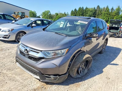 JHLRW2H56KX****** 2019 Honda CR-V