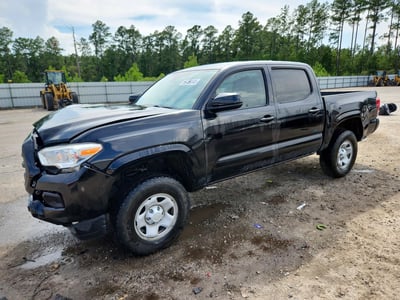 5TFAX5GN2KX****** 2019 Toyota Tacoma