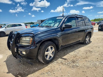 2009 Chevrolet Trailblazer