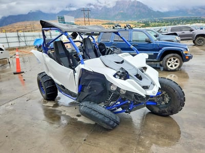 2019 Yamaha Yxz100