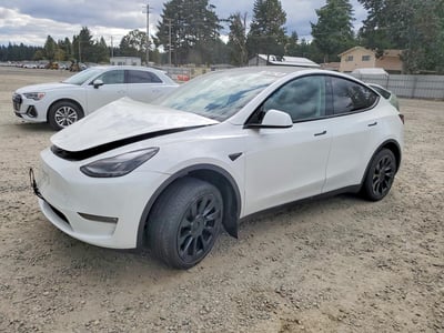 7SAYGDEE7PF****** 2023 Tesla Model Y