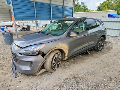 1FMCU0G61MU****** 2021 Ford Escape