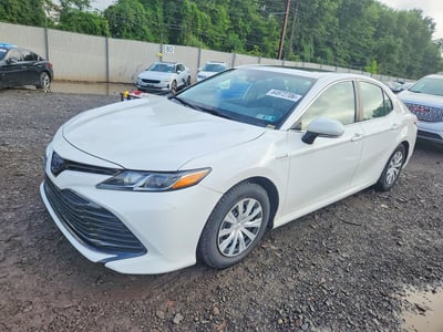 4T1E31AK7LU****** 2020 Toyota Camry Hybrid