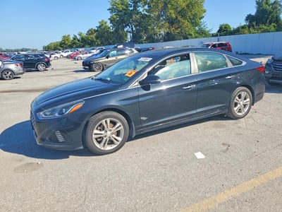 5NPE34AF7KH****** 2019 Hyundai Sonata