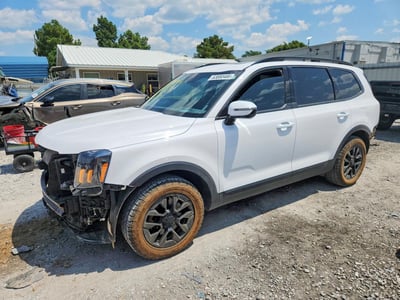 5XYP5DGC9SG****** 2025 Kia Telluride