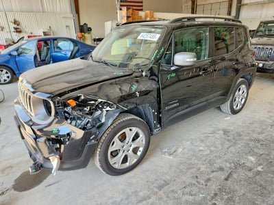 ZACNJBD13LP****** 2020 Jeep Renegade