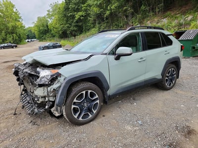2T3J1RFV7KW****** 2019 Toyota RAV4