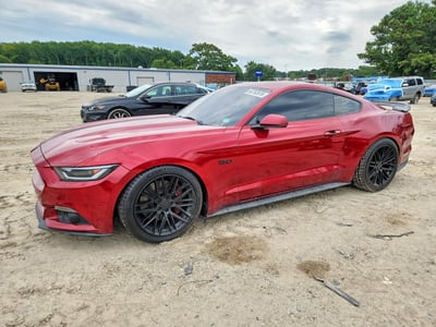 1FA6P8CF0F5****** 2015 Ford Mustang
