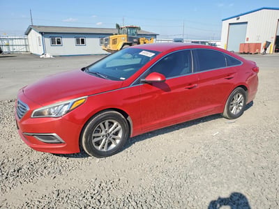 5NPE24AF5HH****** 2017 Hyundai Sonata