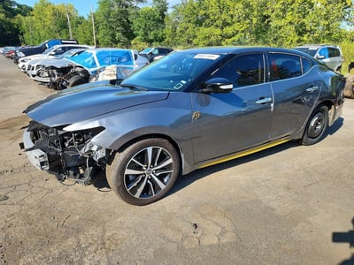 2023 Nissan Maxima