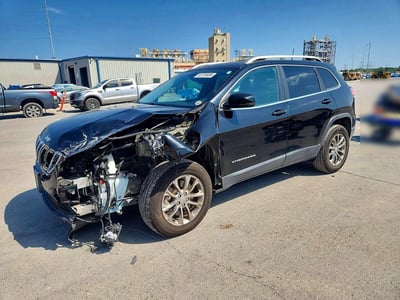 1C4PJMLB2LD****** 2020 Jeep Cherokee