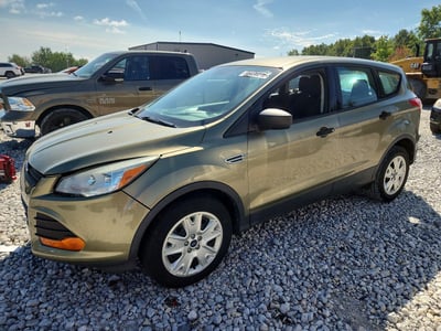 1FMCU0F78EU****** 2014 Ford Escape