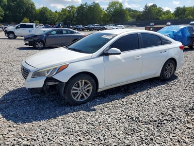 5NPE24AFXGH****** 2016 Hyundai Sonata