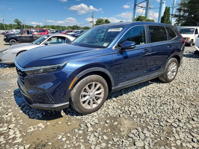 2HKRS4H71RH****** 2024 Honda CR-V