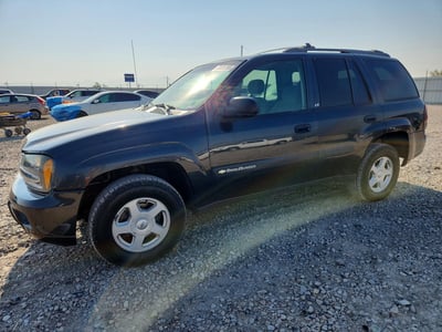 1GNDT13S732****** 2003 Chevrolet Trailblazer