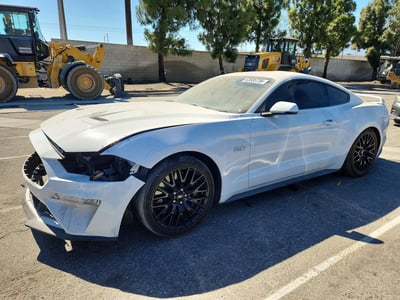 2019 Ford Mustang