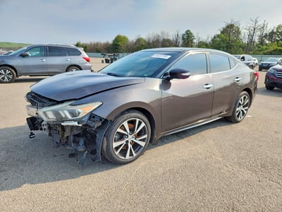 1N4AA6APXGC****** 2016 Nissan Maxima