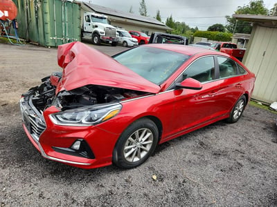 5NPE24AFXKH****** 2019 Hyundai Sonata