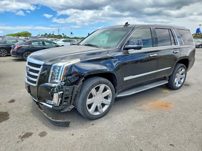 1GYS4BKJ4KR****** 2019 Cadillac Escalade