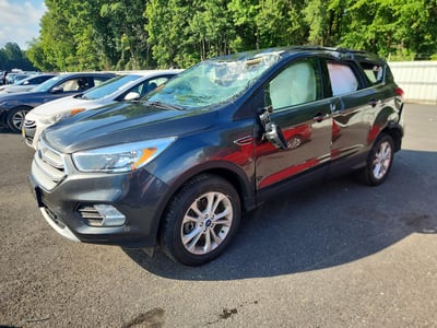 1FMCU9GD2KU****** 2019 Ford Escape