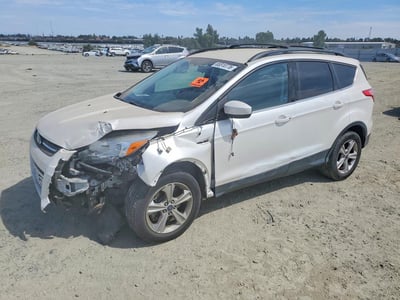 1FMCU0G97DU****** 2013 Ford Escape
