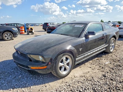 1ZVHT80N395****** 2009 Ford Mustang