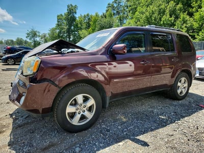 5FNYF4H78BB****** 2011 Honda Pilot