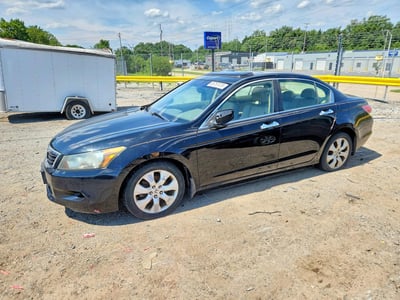 2010 Honda Accord