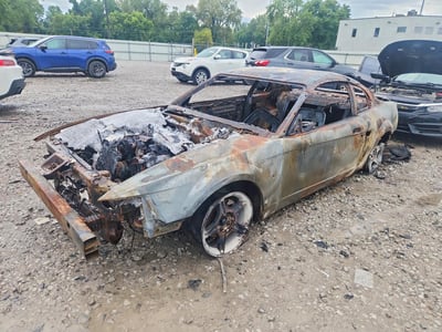 1FAFP42X4YF****** 2000 Ford Mustang