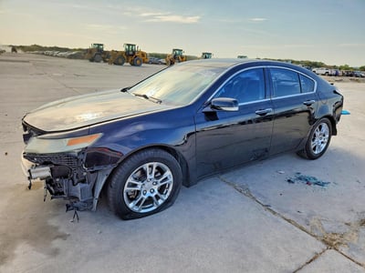 19UUA86519A****** 2009 Acura TL