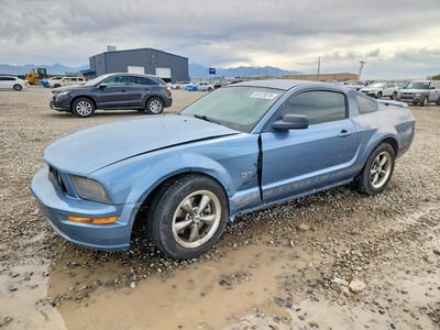 1ZVFT82H065****** 2006 Ford Mustang