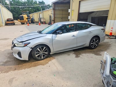 1N4AA6CV6MC****** 2021 Nissan Maxima