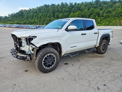 3TMLB5JN9RM****** 2024 Toyota Tacoma