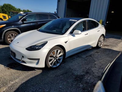 5YJ3E1EB8KF****** 2019 Tesla Model 3