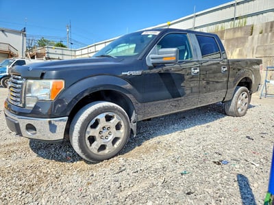 2010 Ford F-150