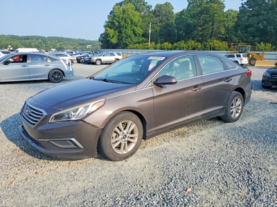 5NPE24AF9GH****** 2016 Hyundai Sonata