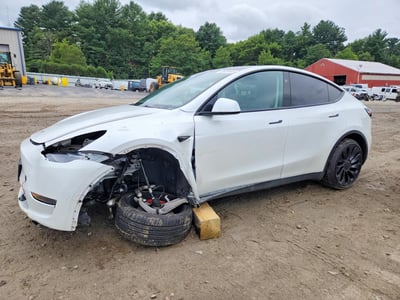 7SAYGDEF1PF****** 2023 Tesla Model Y