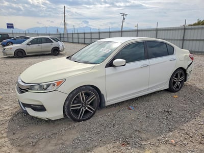 1HGCR2F50HA****** 2017 Honda Accord