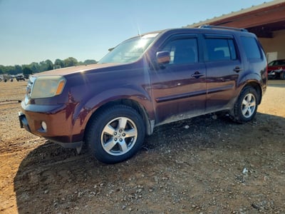 5FNYF3H66AB****** 2010 Honda Pilot