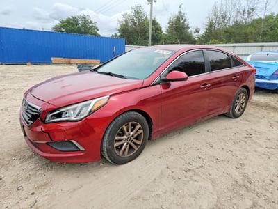 5NPE24AF5GH****** 2016 Hyundai Sonata