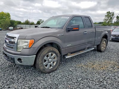 1FTFX1ET8DF****** 2013 Ford F-150