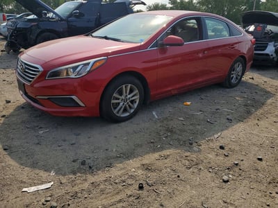 5NPE24AF8HH****** 2017 Hyundai Sonata